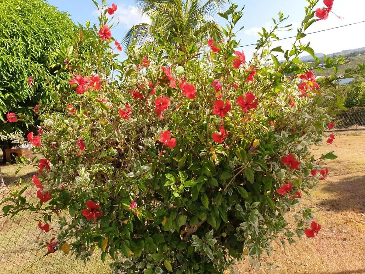 Villa Soleil Dz Baillif
